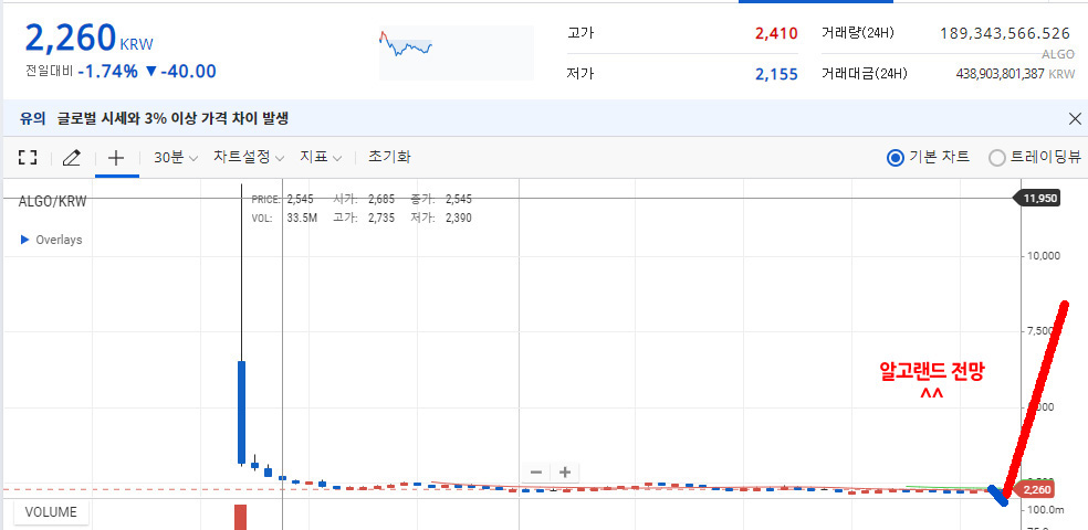알고랜드 전망