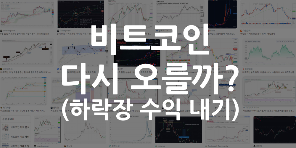 비트코인 다시 오를까