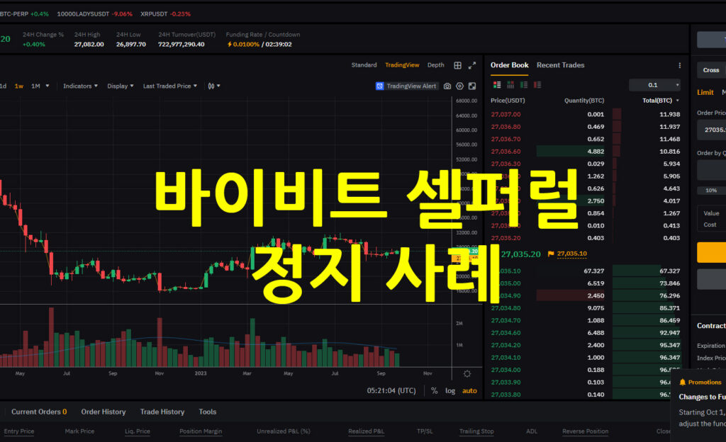 바이비트 셀퍼럴