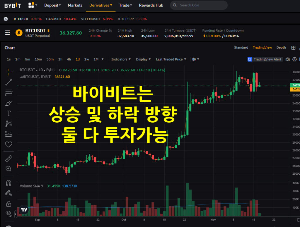 바이비트