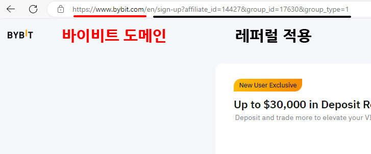 바이비트 도메인