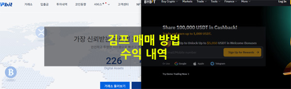 바이비트 김프 매매