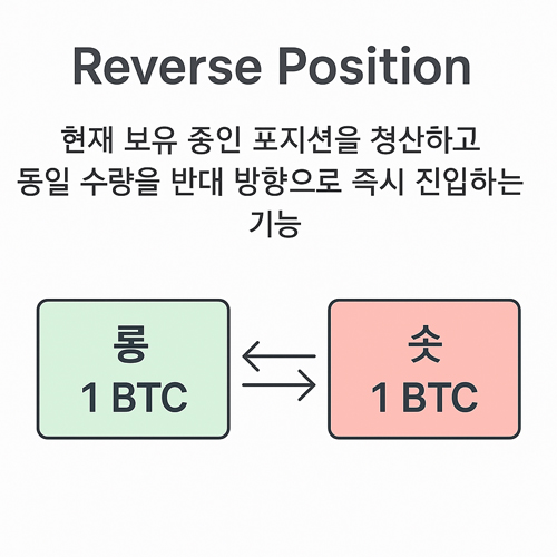 바이비트 Reverse Position 기능