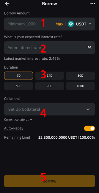 BYBIT Crypto Loans 신청서 작성